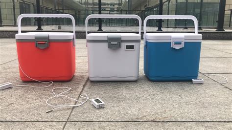 small insulated coolers for medicine.